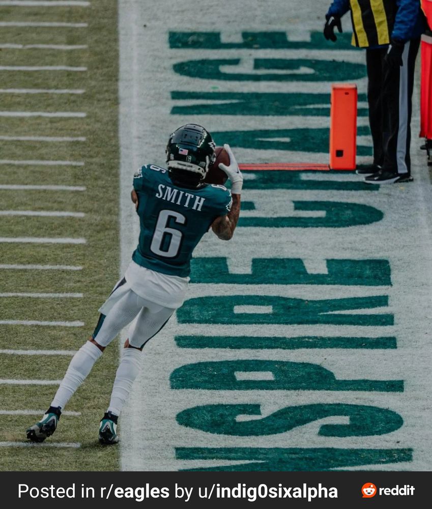 DeVonta Smith of the Philadelphia Eagles makes a catch during the 2025 NFC Championship Game. The photo shows Smith from behind, leaning over the sideline to make the catch while keeping his feet in bounds.  