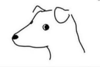 pen drawn dog staring at you, expectantly 