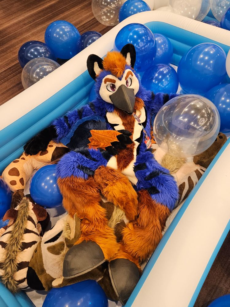 A male hippogriff fursuiter laying back inside of a giant inflatable pool that is filled with balloons and hyena plushies.