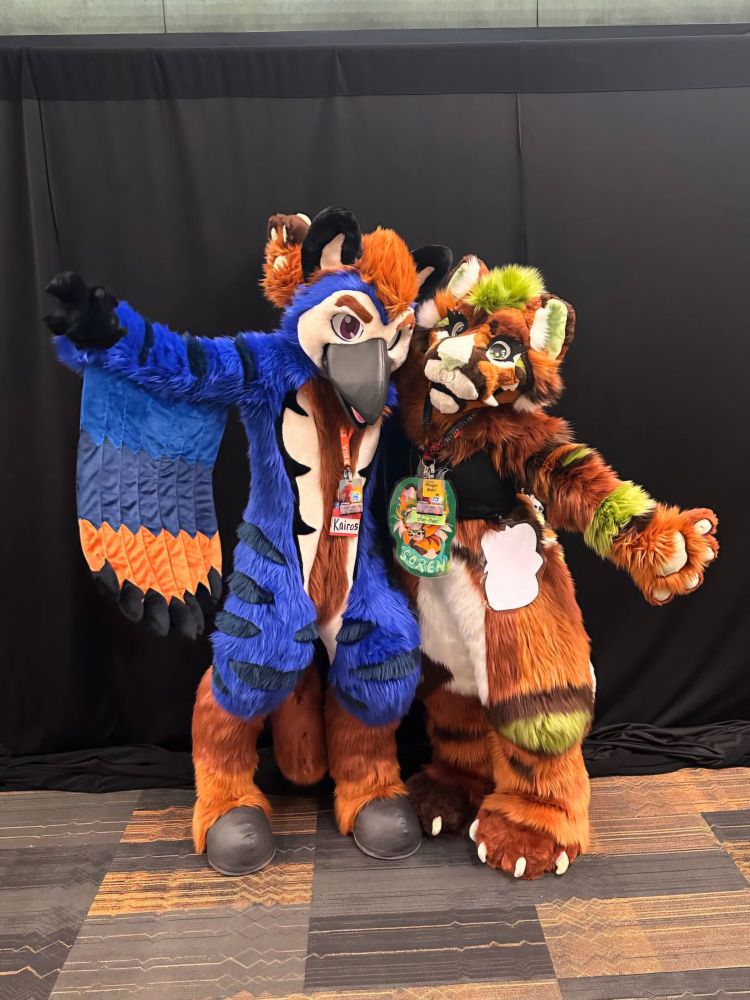 A hippogriff and cat fursuiter standing together and posing with their arms wide.