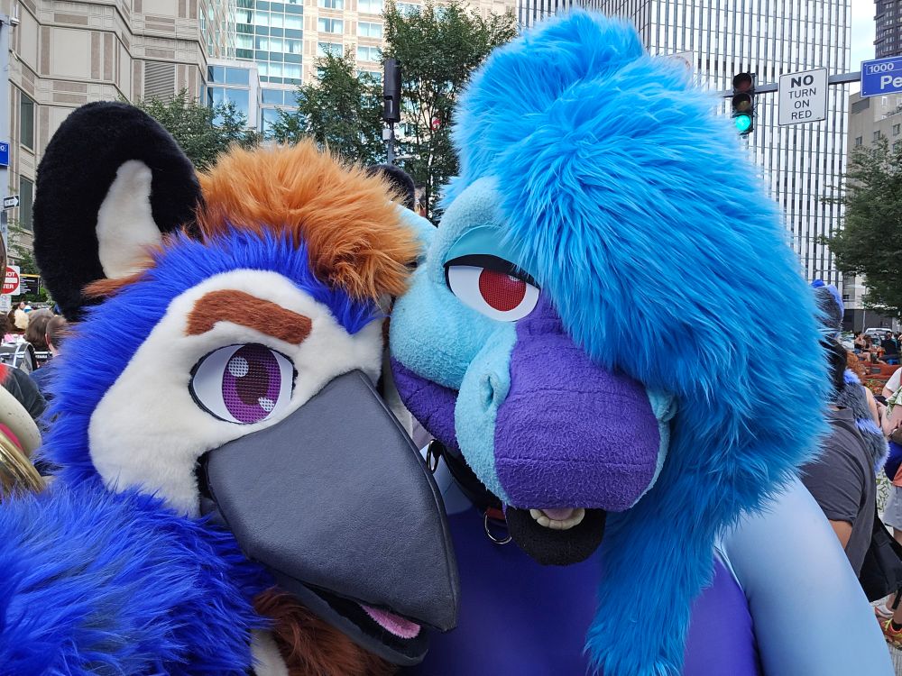 Bird and naughty dragon.