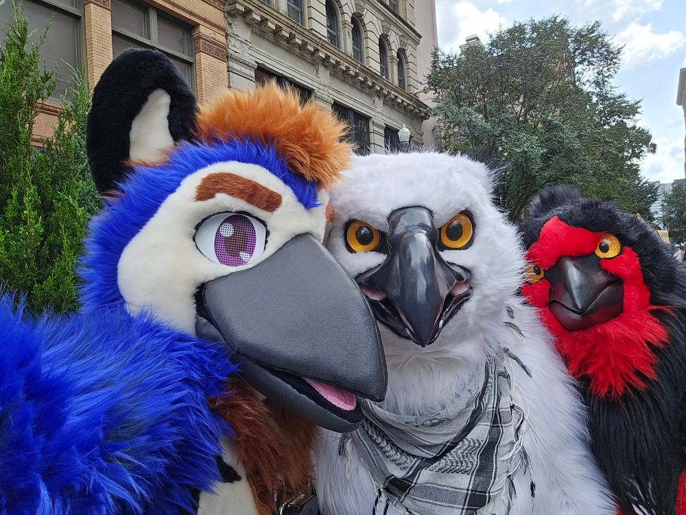 One bird, two bird, three bird. All fursuiters.