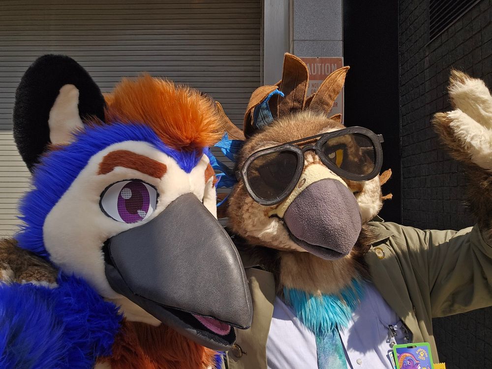 Normal birb and surveillance birb.