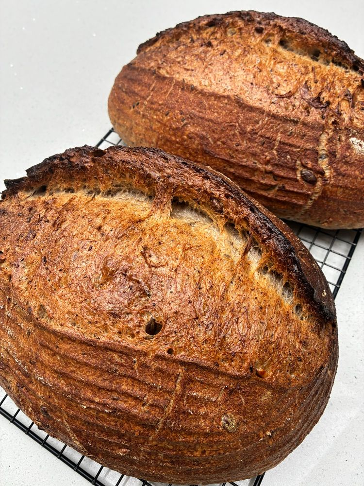 Golden sourdough showing gluten strands, seeds and sage.