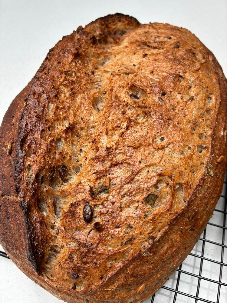Sourdough showing gluten strands, seeds and sage.