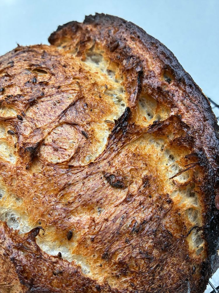 Sourdough showing gluten strands, seeds and sage.