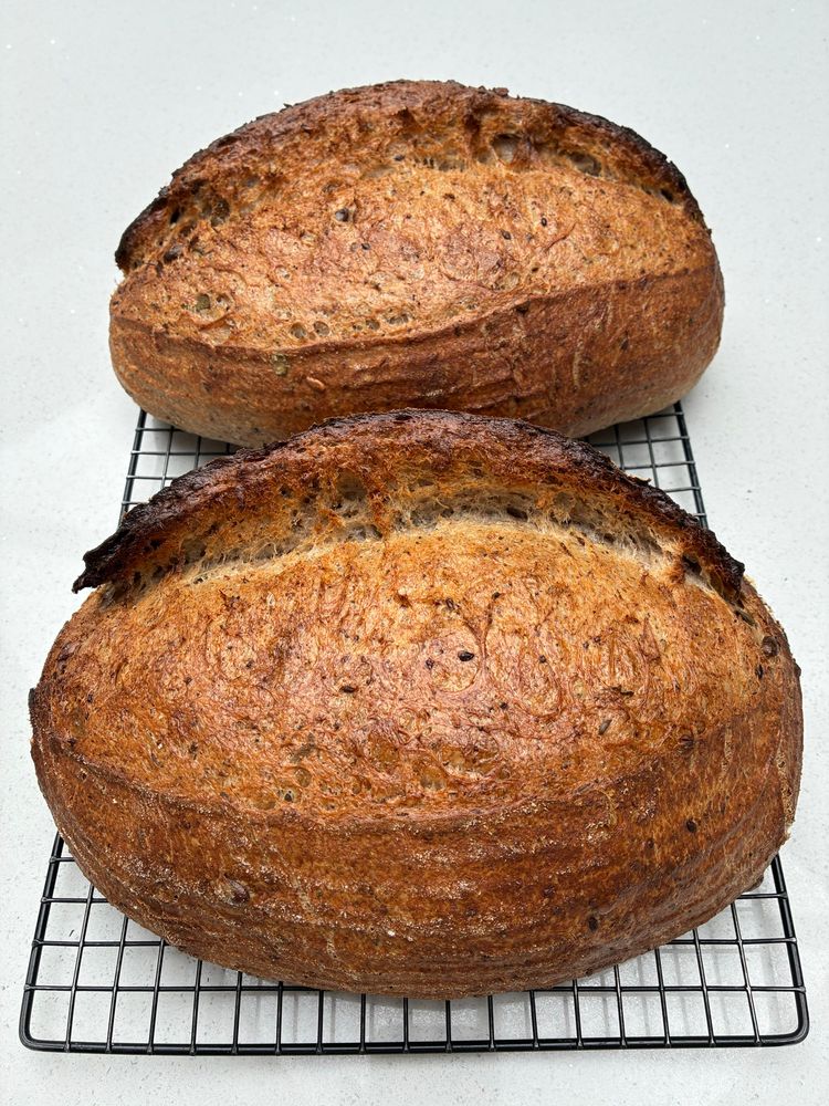 Sourdough showing gluten strands, seeds and sage.