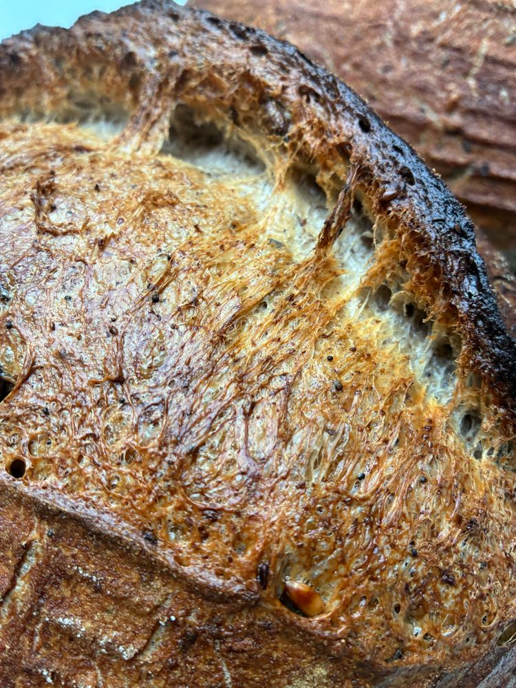 Golden sourdough showing gluten strands, seeds and sage.