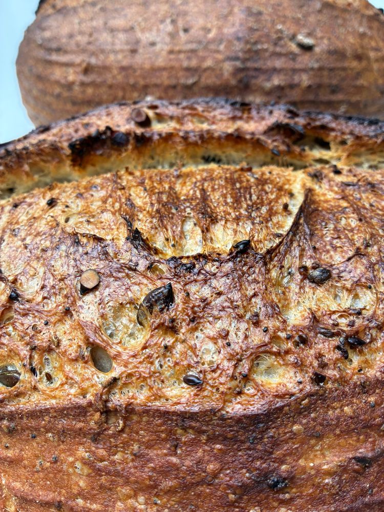 Sourdough showing gluten strands, seeds and sage.