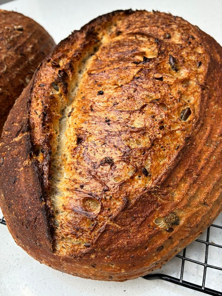 Sourdough showing gluten strands, seeds and sage.