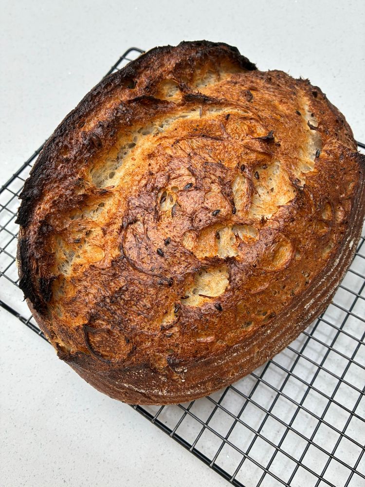 Sourdough showing gluten strands, seeds and sage.