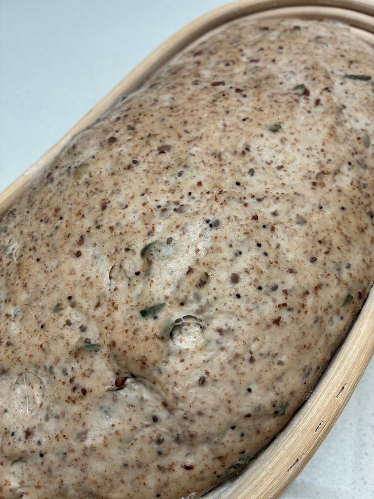 Sourdough in a banneton