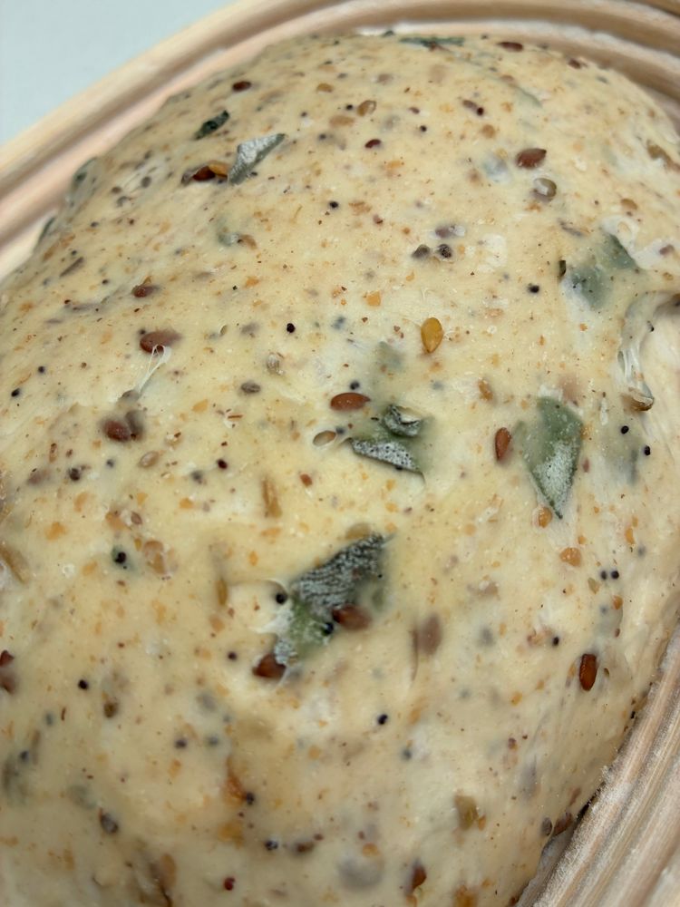 Sourdough in a banneton showing mixed seeds and sage on the surface.