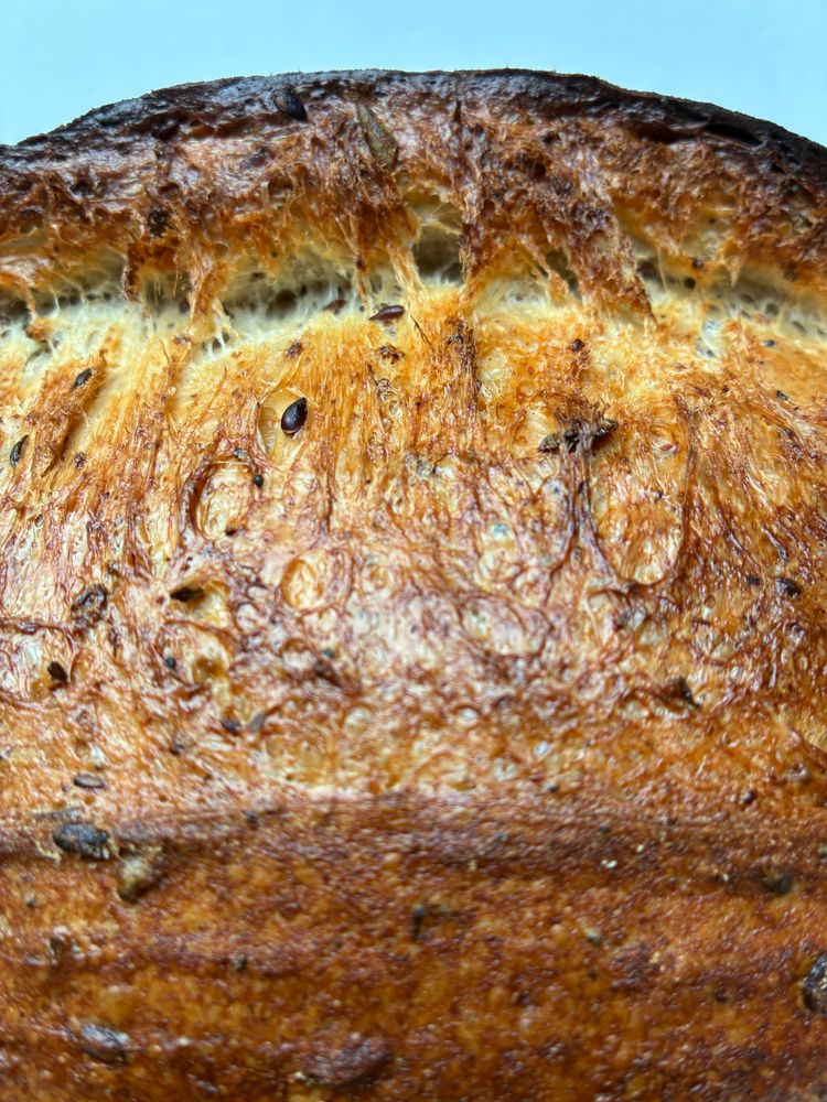 Seeded sourdough showing gluten strands , seeds and sage.