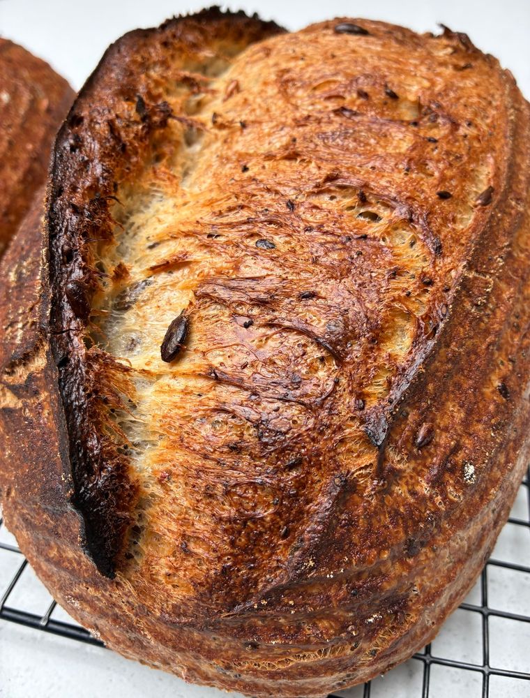 Sourdough showing gluten strands, seeds and sage.