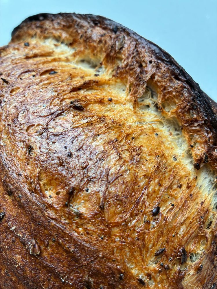 Seeded sourdough showing gluten strands , seeds and sage.