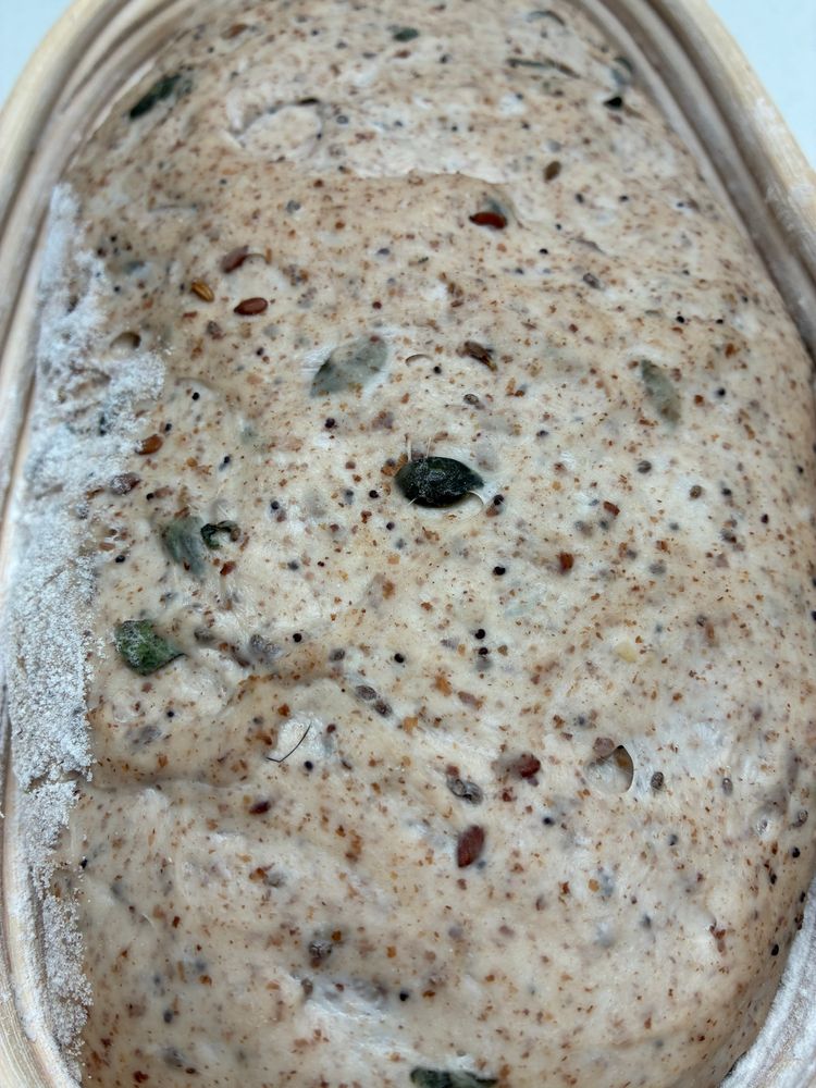 Sourdough in banneton. Overnight in the fridge at 6°C, baking tomorrow in a cast iron bread pan.