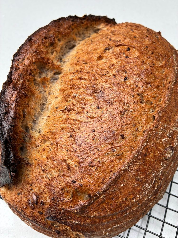 Sourdough showing gluten strands, seeds and sage.