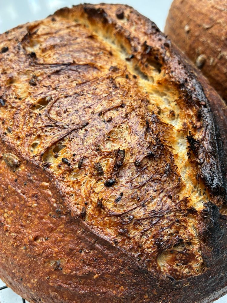Sourdough showing gluten strands, seeds and sage.