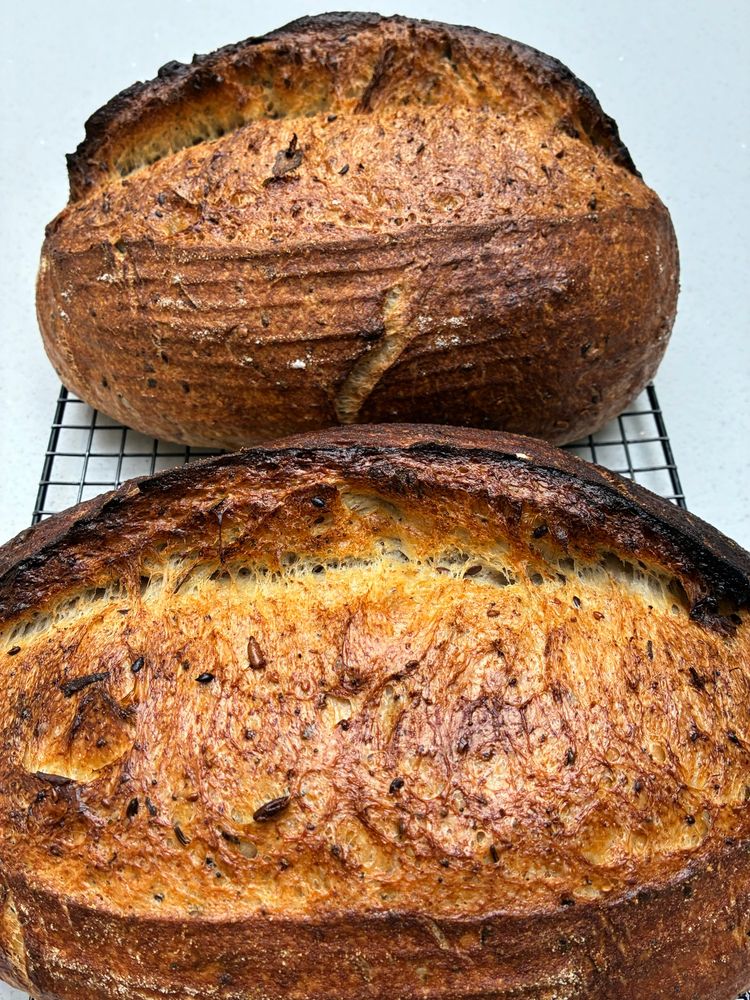 Golden seeded sourdough showing gluten strands, seeds and sage.