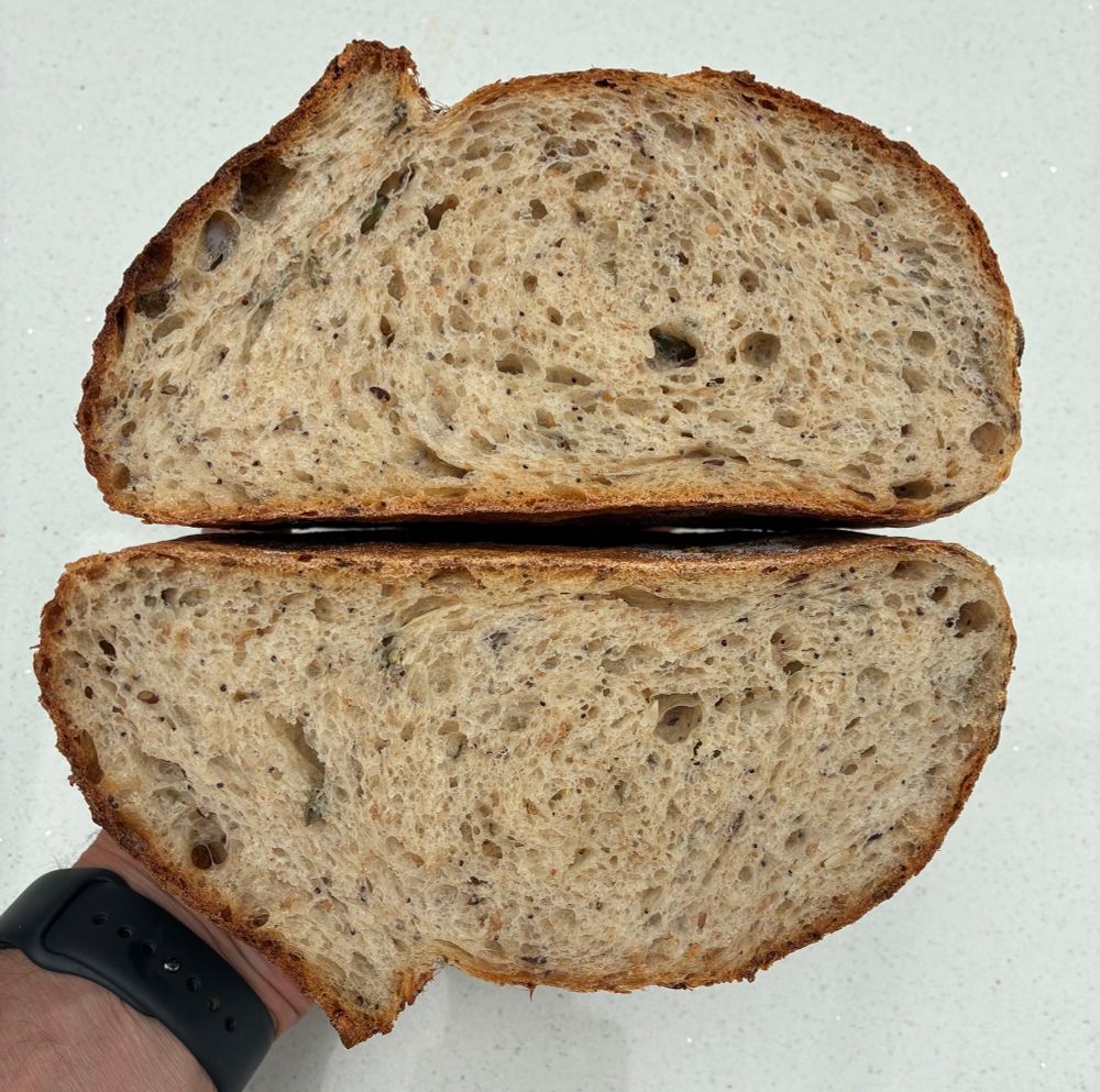 Crumb shot showing texture of the sourdough.