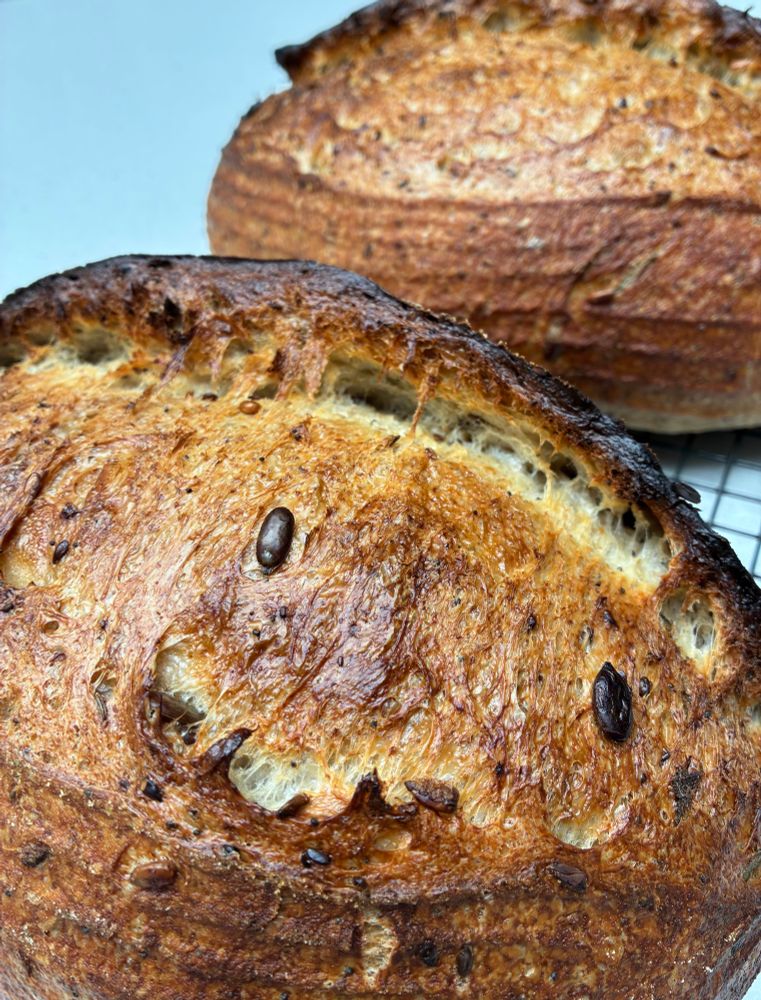 Sourdough showing gluten strands, seeds and sage.