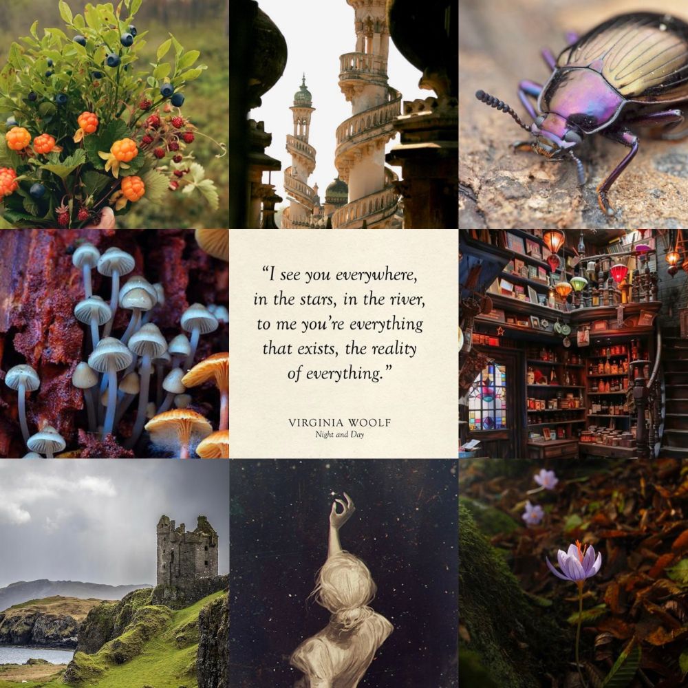 A collage of images, going from top left clockwise: a bouquet of colorful berries, swooping white towers with spiral balconies, a shiny purple beetle, a colorful shop full of knick-knacks, a blooming crocus in a dark forest, a drawing of a woman reaching out to the night sky as if to pluck a star, a crumbling castle on a moor, and mushrooms growing on a tree. In the center is a quote by Virginia Woolf: “I see you everywhere, in the stars, in the river, to me you’re everything that exists, the reality of everything.”