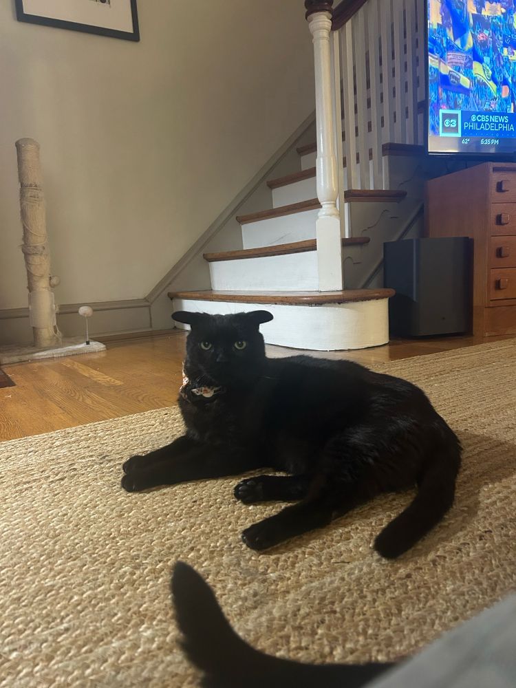 little dude