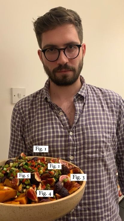 I am pictured holding a salad bowl containing several sliced figs. Each fig is labelled Fig. 1, 2, 3 and so on, as figures in paper drafts. 