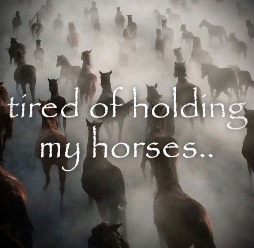 horses running with the text “tired of holding my horses..” over top. 