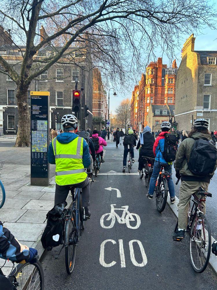 8 cyclists stopped at a red light on a cycle lane in London 