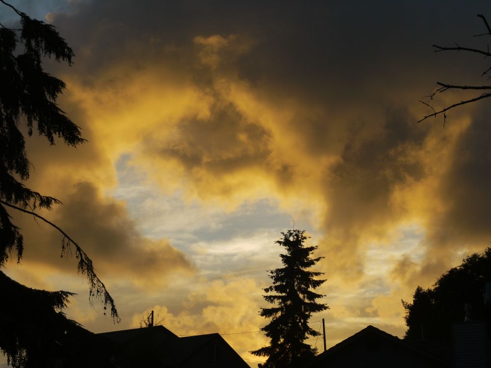Golden clouds at sunset.