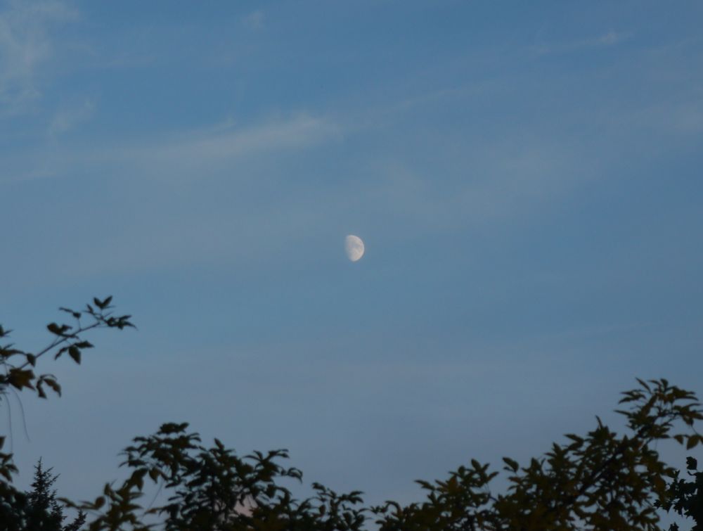 The moon.
