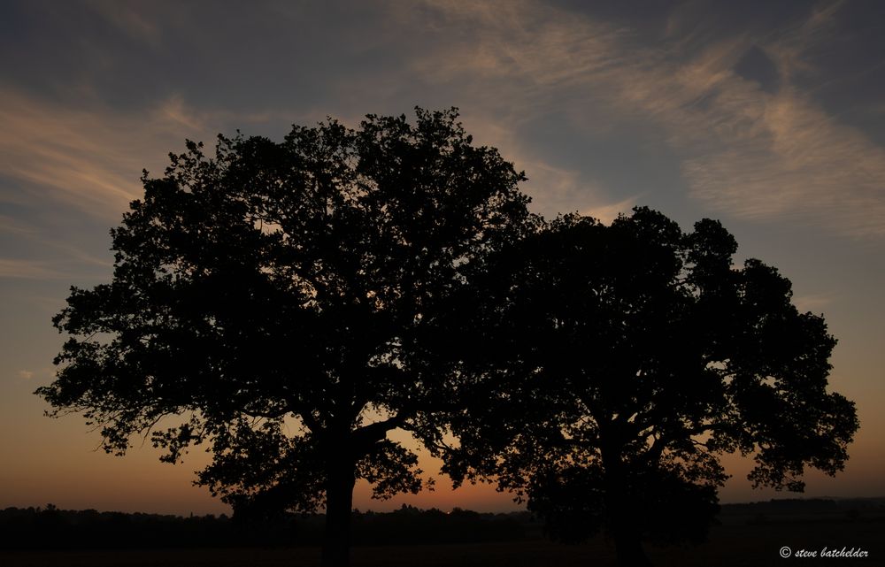 The sun just peeing above the tree line and framed between twin oaks.

The Oaks and the land are is deep shadow and create a silhouette with the sun just appearing on the horizon between the two oaks.  S-The sun and the sky are orange along the horizon changing through yellow to blue with high white clouds at the top of the image.