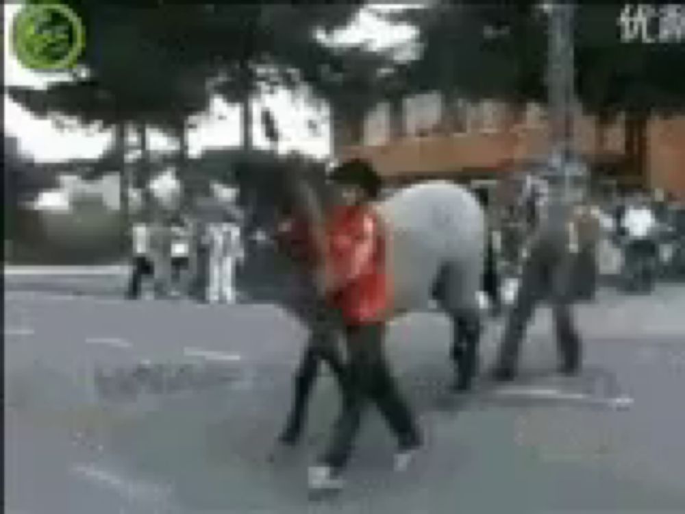 a man in a red shirt is walking with a horse on a street .