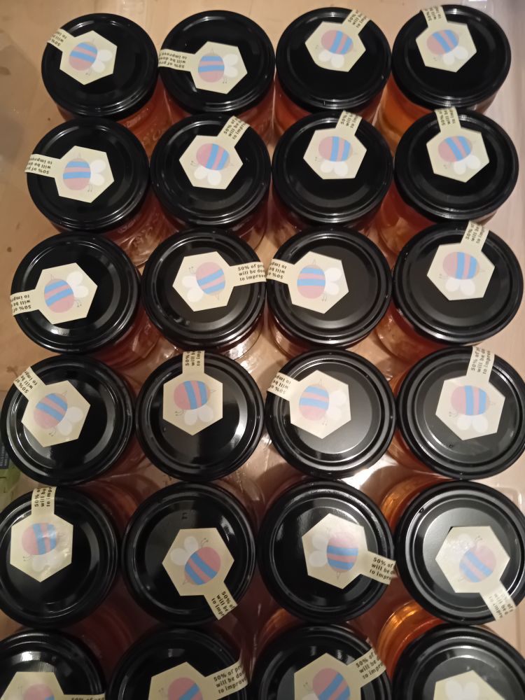 The honey jars seen from above, showing that the tamperproof stickers have a cartoon bee in trans pride colours (an altered Canva stock image) on the lids.