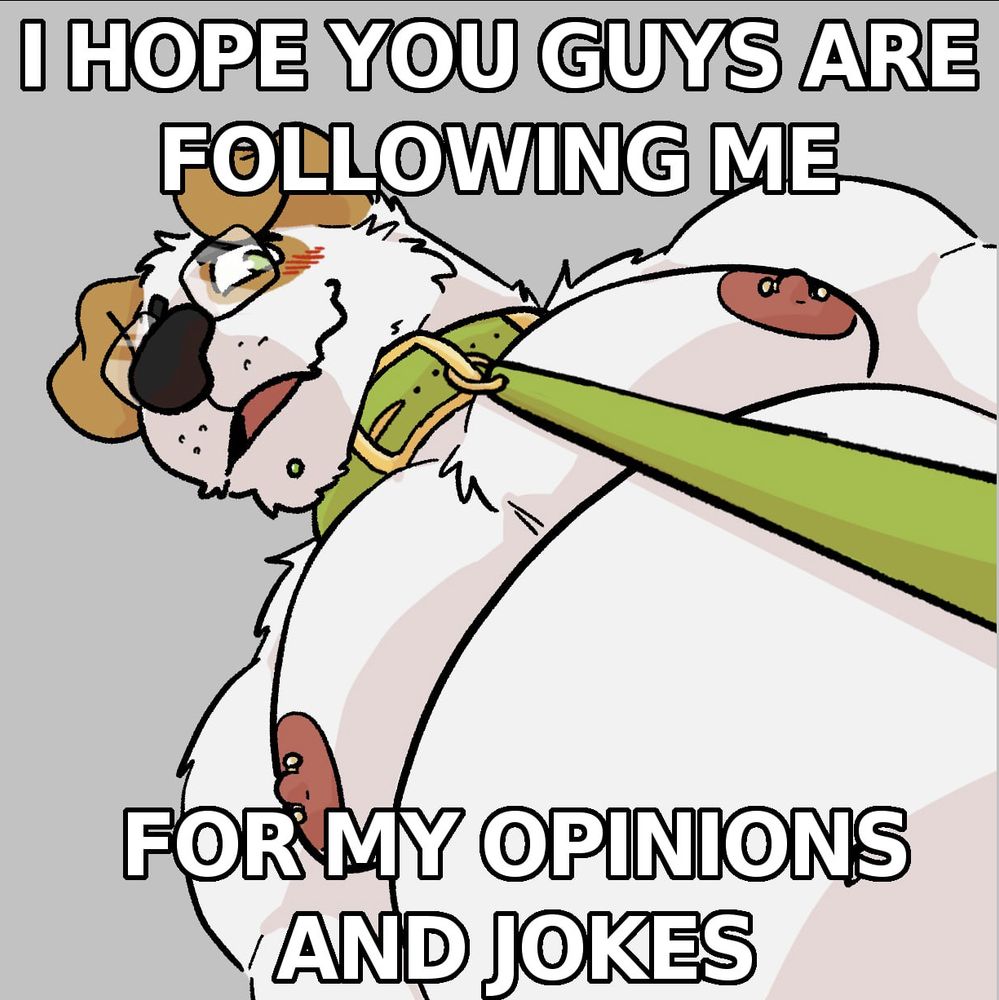 Close-up view of an anthro dog, who's blushing, in a green leash and collar. The text reads "I hope you guys are following me for my opinions and jokes."