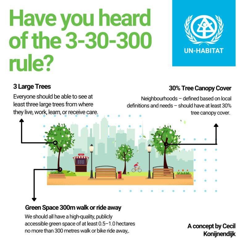 3-30-300 rule
3 large trees should be seen from home, work, and parks
30% urban tree canopy cover
300m away from a green space