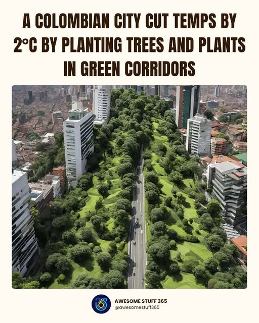 Colombian City cuts temperatures by 2C by planting Green Corridors 