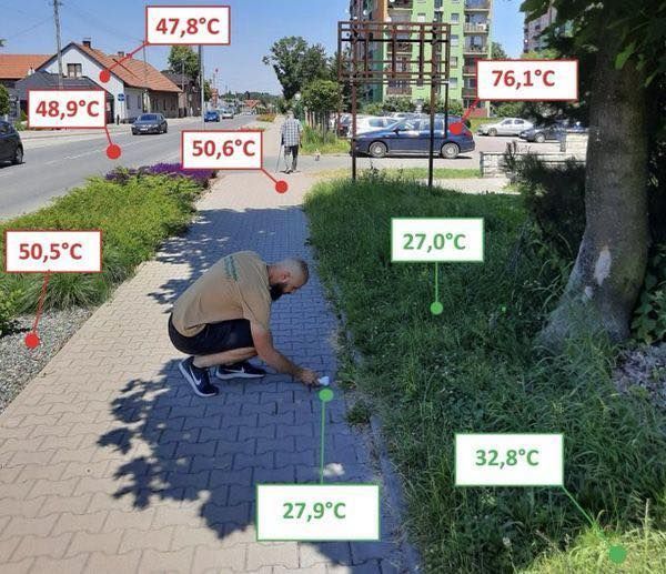 Temperatures in an urban setting
50C+ on hard surfaces
32C on green surfaces like grass with no shade
27C on green and hard surfaces in the shade