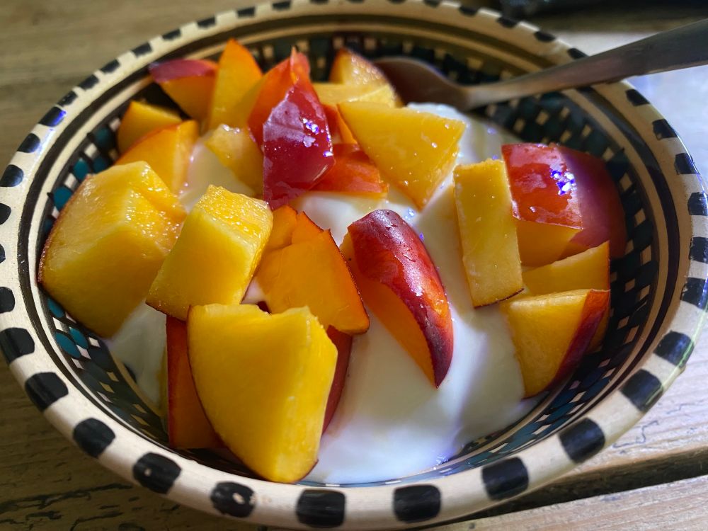 Yoghurt and chopped nectarine in a patterned Tunisian bowl. 