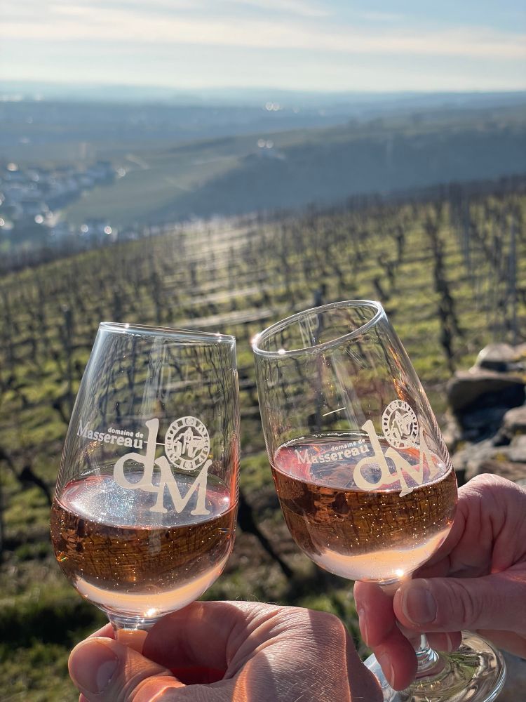 Zwei mit Rosésekt gefüllte Gläser, die im Sonnenschein angestoßen werden. Im Hintergrund die Weinberge des Rheingaus.