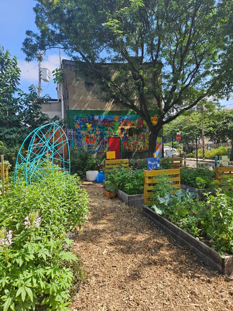 A peaceful urban garden bordered by a building with a brightly colored mural.