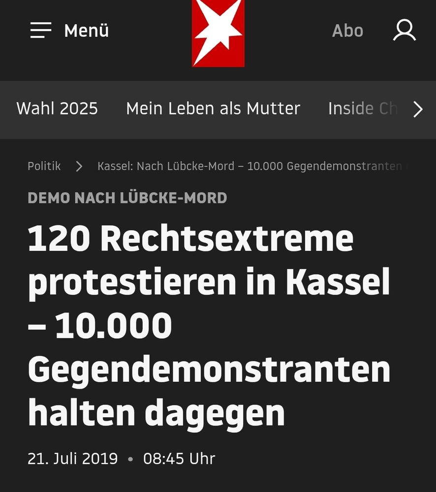 Screenshot einer Meldung zu Demos auf Stern.de 