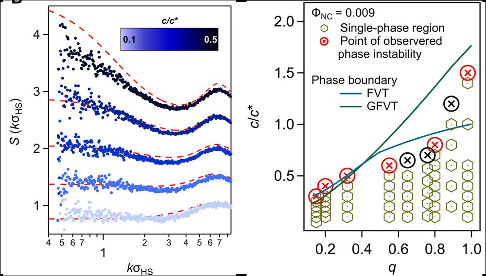 LEFT: S(q) from small angle X-ray scattering showing comparison between theory predicted structure and observed structure in colloidal nanocrystal dispersions with added polymer. RIGHT: Phase diagram comparing theoretical predictions for phase boundaries (FVT, GFVT) with experimental observations of phase stability for varying polymer concentration and ratio of sizes between nanocrystals and polymers.