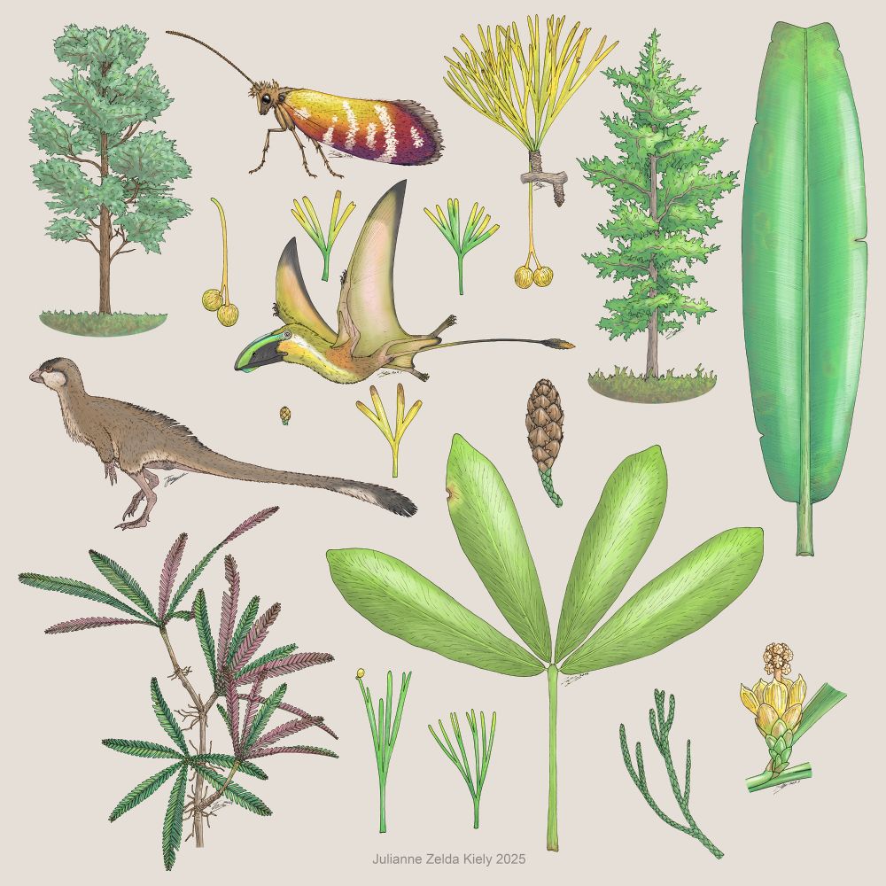 A square image with a pale off white background with many leaves, trees, branches, fruiting bodies and animals scattered across it!