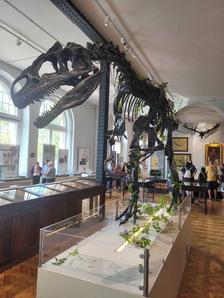 Rory and allosaurus skeleton, with lots of faux wisteria vines draped over him