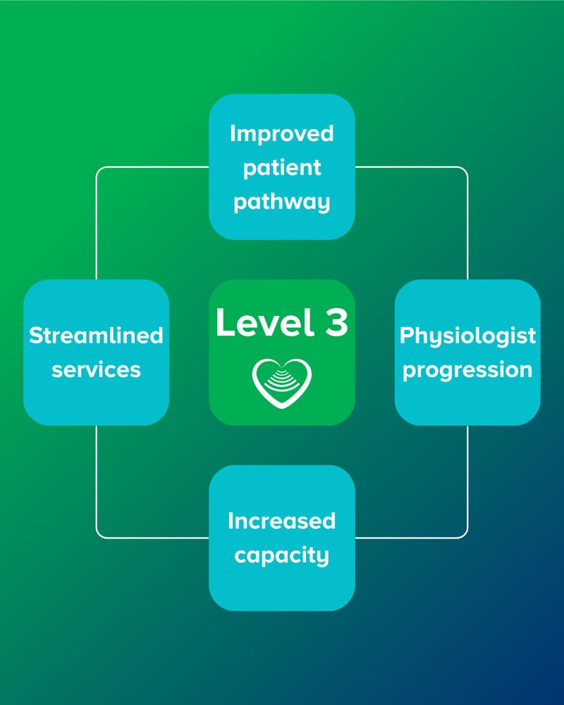 The four projected outcomes to Level 3: Improved patient pathway, physiologist progression, increased capacity and streamlined services