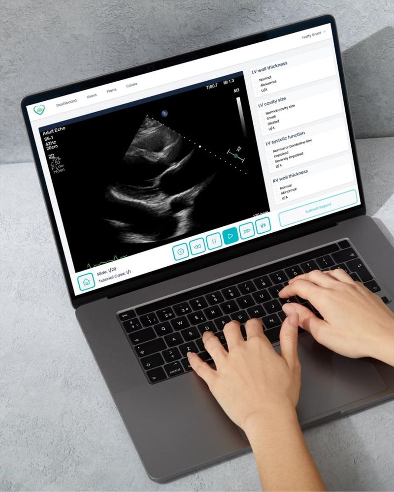 Someone using the Level 1 library