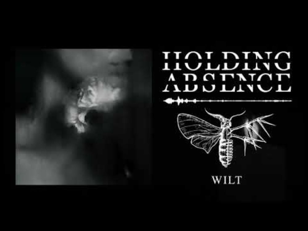 Holding Absence - Wilt (OFFICIAL AUDIO STREAM)